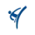 taekwondo