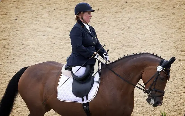 Hipismo adaptado. Juegos paralímpicos, París 2024